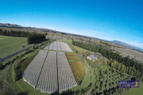 Photo of property in 6 Anzac Street, Waipara, 7483