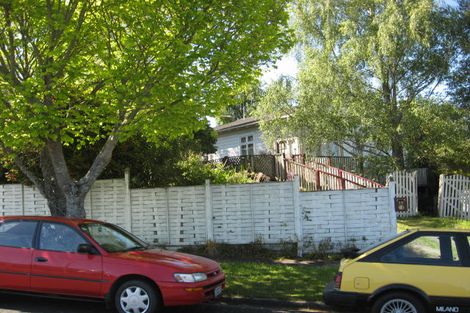 Photo of property in 28 Mandeno Street, Te Awamutu, 3800