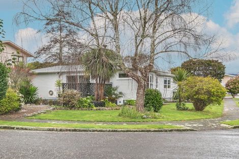 Photo of property in 3 Conway Street, Levin, 5510