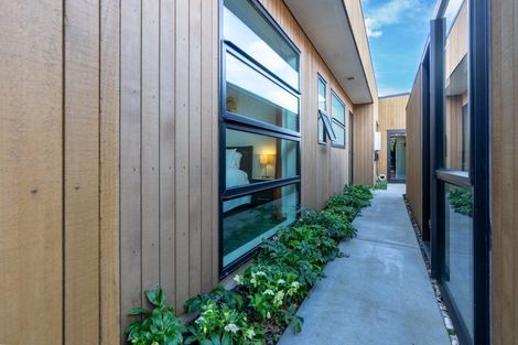 Photo of property in 31 Meadowfield Street, Flagstaff, Hamilton, 3210