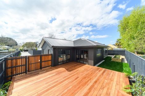 Photo of property in 14a Colombo Street, Hokowhitu, Palmerston North, 4410