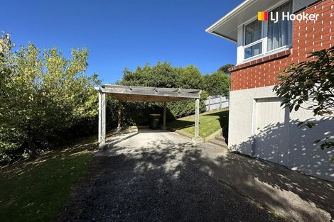 Photo of property in 29 Saint Albans Street, Bradford, Dunedin, 9011
