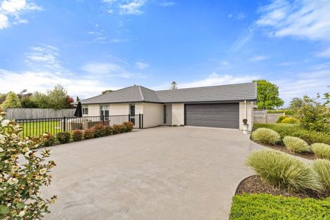Photo of property in 34 Hampton Terrace, Matamata, 3400