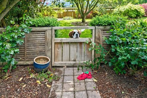 Photo of property in 11 Mannix Place, Matamata, 3400