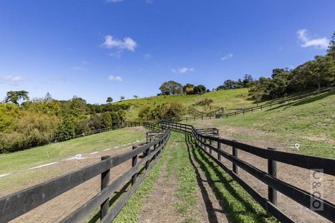 Photo of property in 349 Fordyce Road, Helensville, 0874