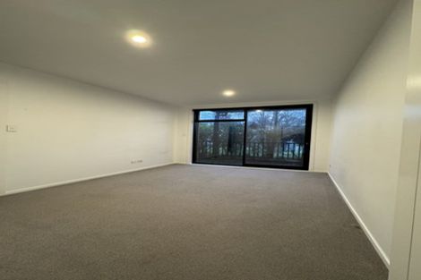Photo of property in 4b Regent Street, Newtown, Wellington, 6021