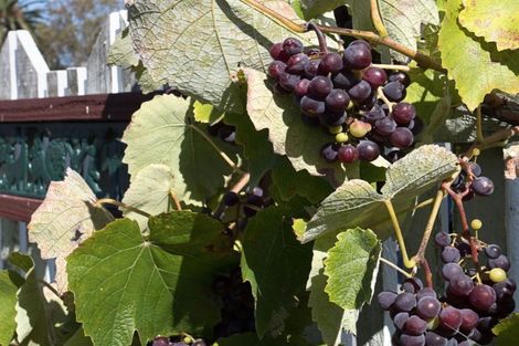 Photo of property in 44a Akaroa Street, Kaiapoi, 7630