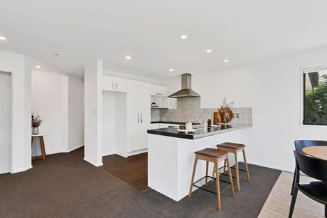 Photo of property in 20 Larne Place, Belfast, Christchurch, 8051