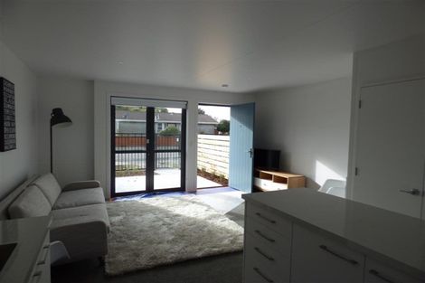 Photo of property in 13/14 Buffon Street, Waltham, Christchurch, 8023