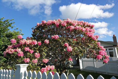 Photo of property in 14 Norton Park Avenue, Fairfield, Lower Hutt, 5011