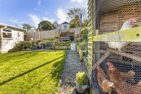 Photo of property in 22 Pennant Street, Wakari, Dunedin, 9010