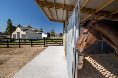 Photo of property in 743 Puketaha Road, Puketaha, Hamilton, 3281