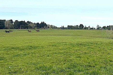 Photo of property in 234 Myross Road, Myross Bush, Invercargill, 9876