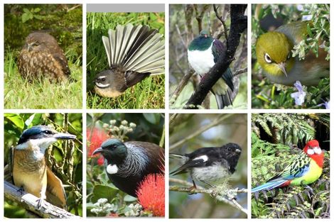 Photo of property in 190 Waiwhiu Road, Dome Valley, Warkworth, 0981