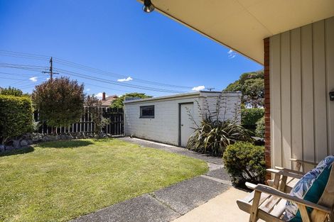 Photo of property in 66b Albert Street, Saint Clair, Dunedin, 9012