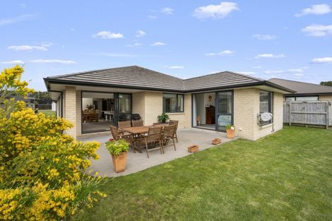 Photo of property in 71 Tynan Street, Te Puke, 3119