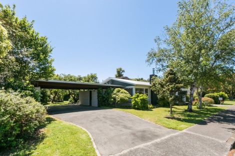 Photo of property in 1 Shortland Place, Havelock North, 4130