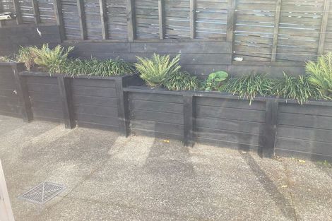 Photo of property in 33 Ohiro Road, Aro Valley, Wellington, 6021