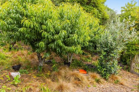 Photo of property in 34 Manson Street, Taumarunui, 3920