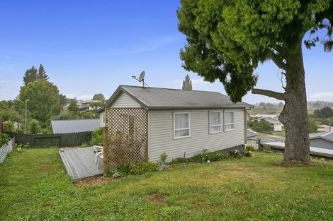 Photo of property in 73b Arapuni Street, Putaruru, 3411