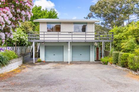 Photo of property in 63 Henry Hill Road, Taupo, 3330