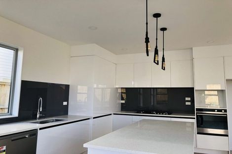 Photo of property in 53 Myland Drive, Hobsonville, Auckland, 0616