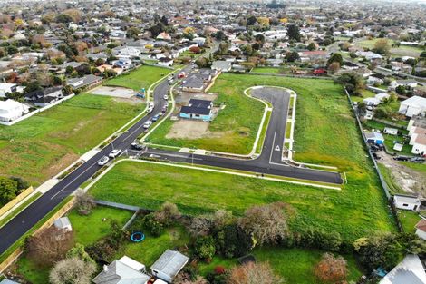 Photo of property in 43 Ashford Avenue, Hokowhitu, Palmerston North, 4410
