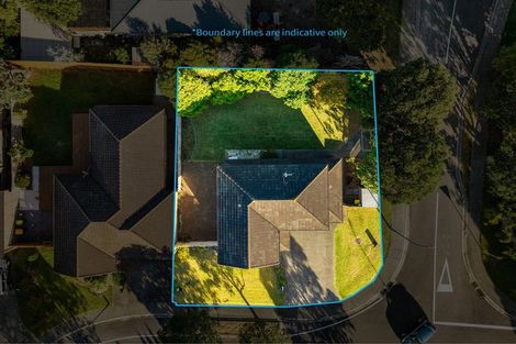 Photo of property in 53 Espalier Drive, Henderson, Auckland, 0612