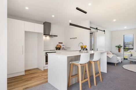 Photo of property in 4 Pelham Place, Lincoln, 7608