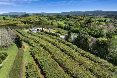 Photo of property in 124 Kauri Point Road, Tahawai, Katikati, 3170