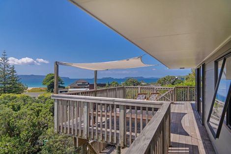 Photo of property in 15 Matapaua Bay Road, Opito Bay, Whitianga, 3592