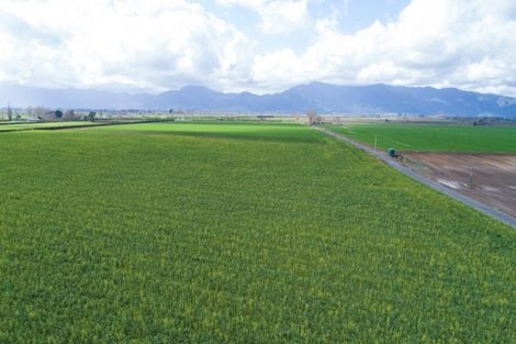 Photo of property in 1310 Alexandra Road, Waharoa, 3474