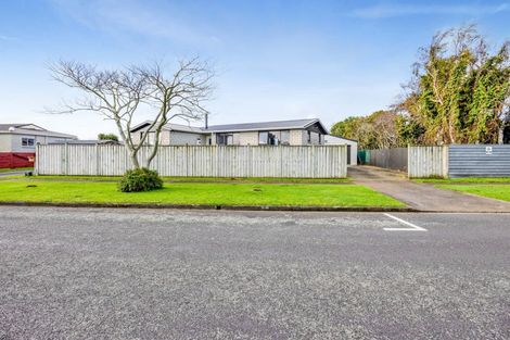 Photo of property in 6 Kamahi Avenue, Hawera, 4610