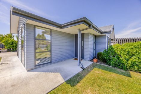 Photo of property in 20 Dee Street, Otane, 4202