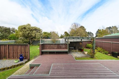 Photo of property in 43 Mill Street, Marton, 4710