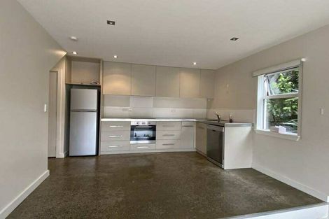 Photo of property in 141 Raroa Road, Aro Valley, Wellington, 6012