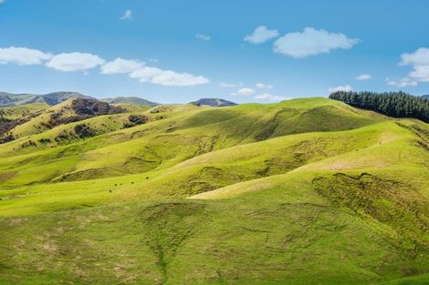 Photo of property in 390 North Road, North East Valley, Dunedin, 9010