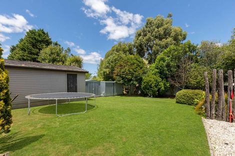 Photo of property in 33 Mill Street, Marton, 4710