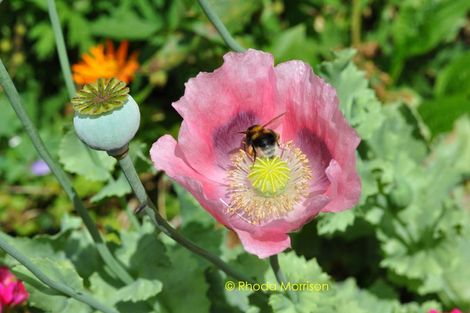 Photo of property in 318 Franklin Road, Paparoa, 0571