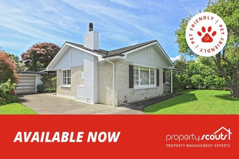 Photo of property in 3 Shortland Place, Havelock North, 4130