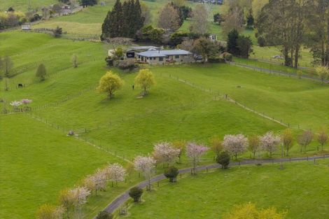 Photo of property in 698 Aratiatia Road, Wairakei, Taupo, 3378