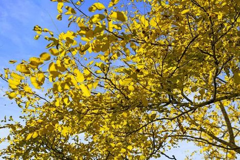 Photo of property in 91 Travers Road, Te Kauwhata, 3782