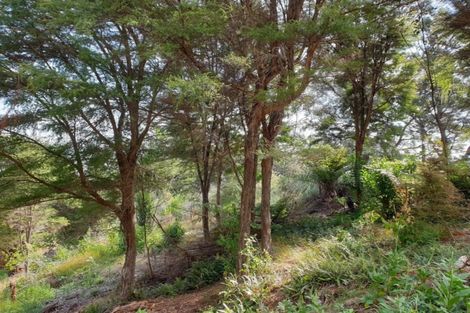 Photo of property in 312 Grafton Road, Thames, 3500