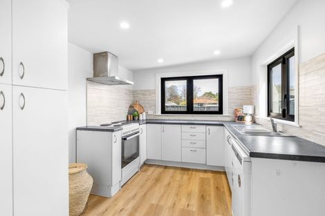 Photo of property in 59 Torrens Road, Hillmorton, Christchurch, 8024