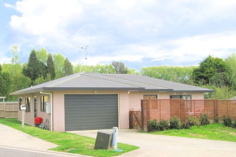 Photo of property in 19 Smylie Close, Ohauiti, Tauranga, 3112