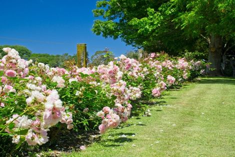 Photo of property in 111 Glenelg Road, Makauri, Gisborne, 4071