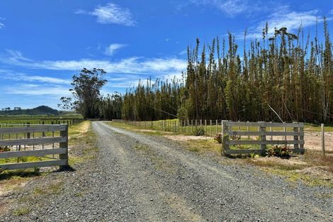 Photo of property in 4021 State Highway 1, Pukenui, Kaitaia, 0484