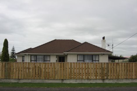Photo of property in 33 Wilton Street, Levin, 5510