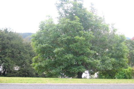 Photo of property in 116 Tukere Drive, Whangamata, 3620