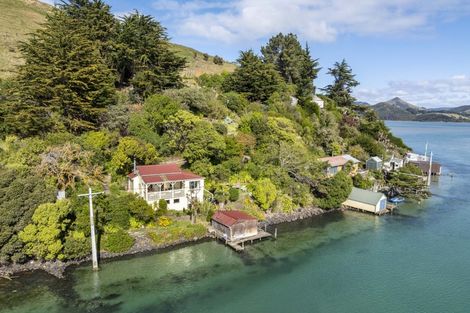 Photo of property in 265 Cape Saunders Road, Cape Saunders, Dunedin, 9077